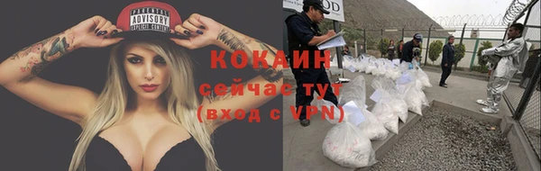 сатива Осташков