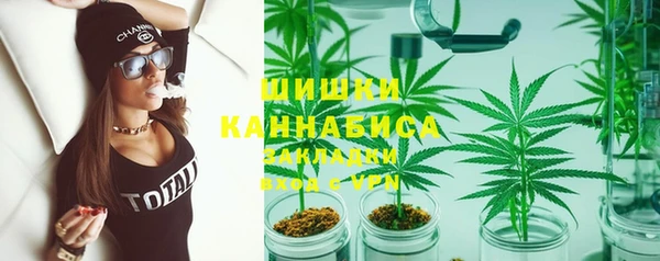 сатива Осташков