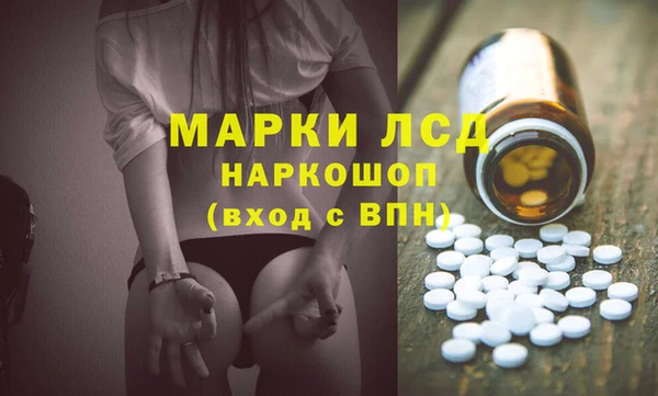 сатива Осташков